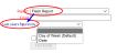 Example of Report option choice changing the Type field: Report option Flash Report selected, leading to the Type field now being called Last years figures by